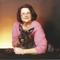 Pam Ward