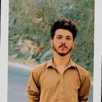 Qasim Amir