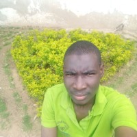 Muhammad Badamasi