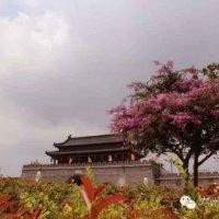 李跃春