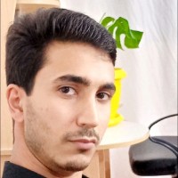 hossein shojaee