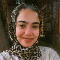 Mai Abdelsatar Nasr