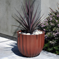 IAP /International Art Properties, Inc.