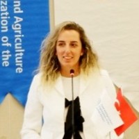 Elcin Berber, Ph.D