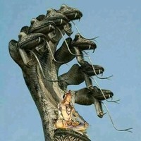 Vikas Kumar Thummala