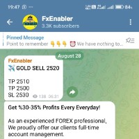 forex trader