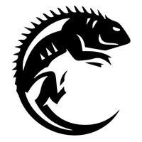 Geckö Pröject