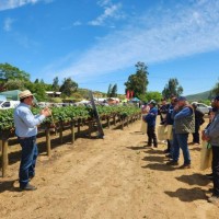 Benjamin Zschau Villagran