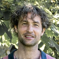 Joris Van Arensbergen