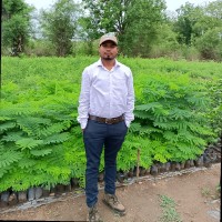 Raju Jatav