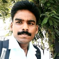 RAJA P
