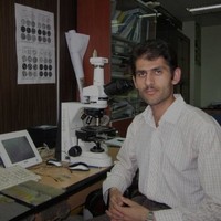 Behzad Soltani