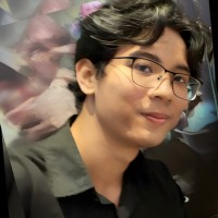 Duc Anh Le Nguyen