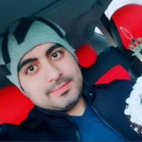hamid mt