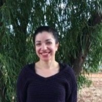 Sheida Navidi