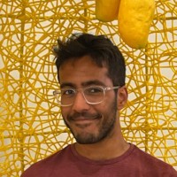 Neil Sardesai