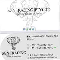 Kudashe Nyamande