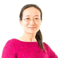Wei Lei