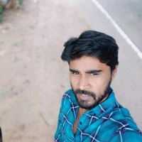 Narayanan Salu