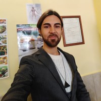 Angelo Curella