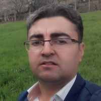 Farid Hesami