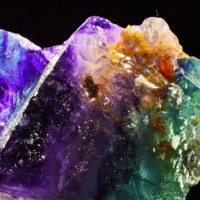 Catalina Navia Simon