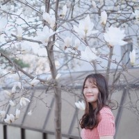 Anh Thu Vu