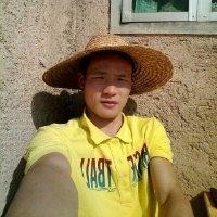 陈武中