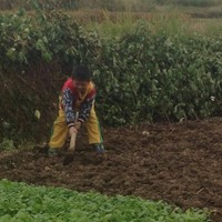 史艳荣