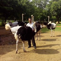 Selvan shanmugam