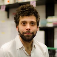 Manuel J. Muñoz, PhD