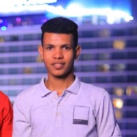 Mohamed Rashad Dardir