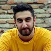 mohammad hossein vardi