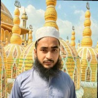 Md Shamim Al Mamun Sarkar