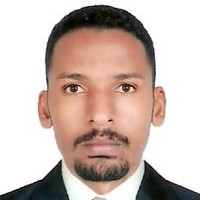 asad mohamed salim ali