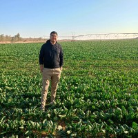 Mohamed Alaa