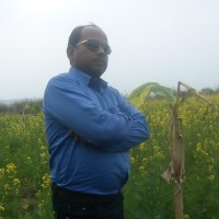 SUJIT BHOWMICK