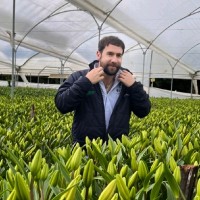Oscar Maldonado Pulido