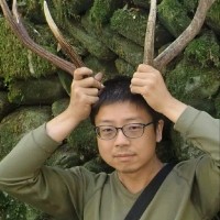 LI LIN