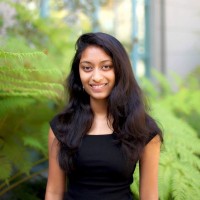 Avni P.