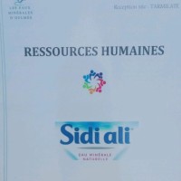 Abdellatif Eljamaaoui