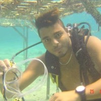 Mohammed Ali