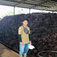 Ibnu Pangestu