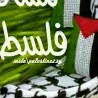 عماد غنلم
