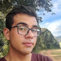 Pedro Henrique De Souza Lopes