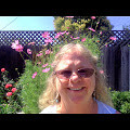 Ann Schiller