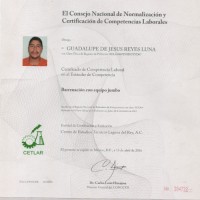 Guadalupe De Jesus Reyes Luna