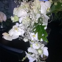 Florista Espaço Verde