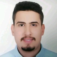 Moatasim Hussein