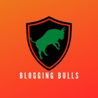Blogging Bulls